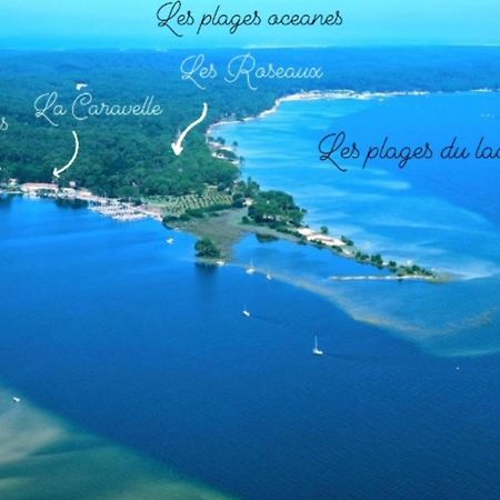Studio mansardé climatisé les roseaux Biscarrosse Extérieur photo
